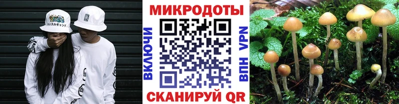 Купить где  Баксан  Псилоцибиновые грибы прущие грибы 